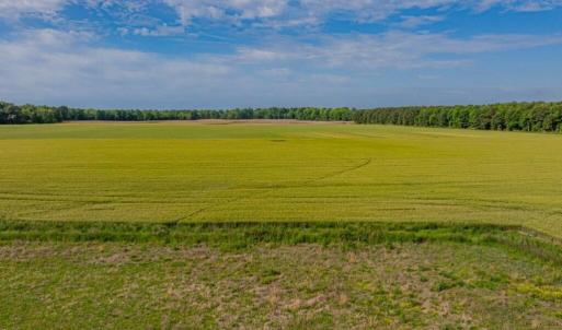 Photo #7 of 301 Wildcat, Edenton, NC 1.8 acres