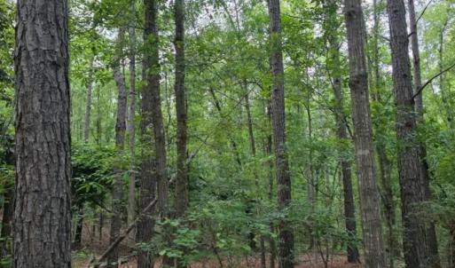 Photo #2 of 15a Woodberry, North Augusta, SC