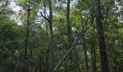 Photo #5 of 15a Woodberry, North Augusta, SC