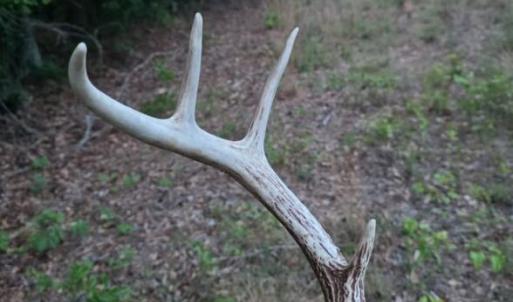 Photo #3 of 15a Woodberry, North Augusta, SC
