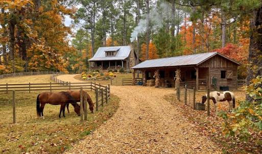 Photo #2 of Nc Highway 210, Currie, NC