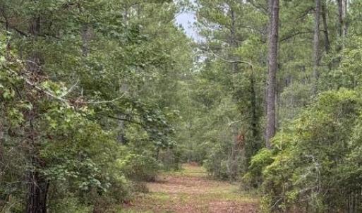 Photo #6 of Nc Highway 210, Currie, NC