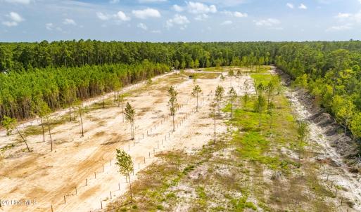 Photo #6 of 618 Shadyview Beach, Havelock, NC 10.0 acres
