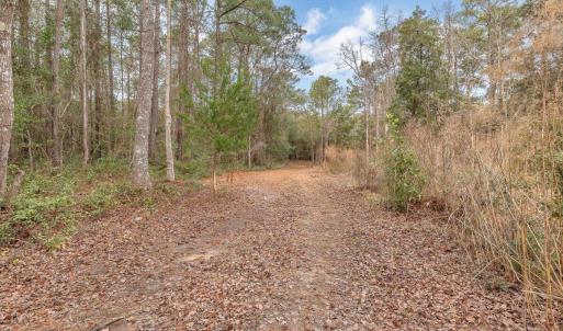 Photo #49 of 2850 Lake Pointe, Holden Beach, NC 3.8 acres
