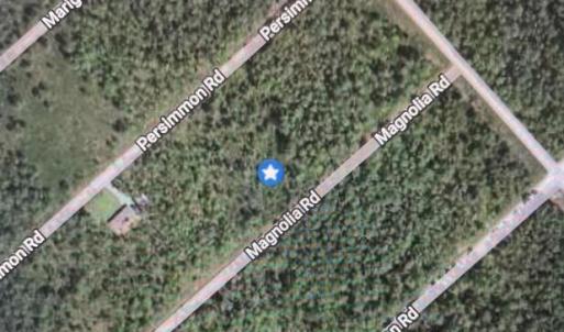 Photo #1 of 322 & 323 Magnolia, Boiling Spring Lakes, NC 0.5 acres