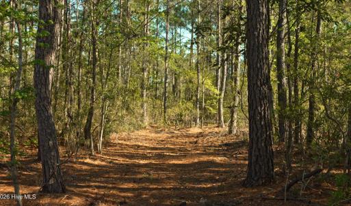 Photo #16 of 3277 Hodges, Scranton, NC 200.0 acres