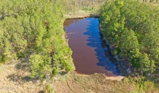 Photo #34 of 3277 Hodges, Scranton, NC 200.0 acres