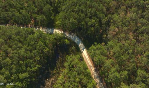 Photo #7 of 3277 Hodges, Scranton, NC 200.0 acres