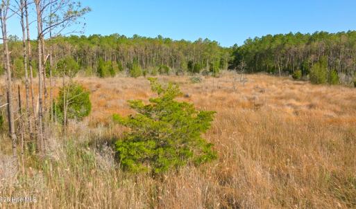 Photo #30 of 3277 Hodges, Scranton, NC 200.0 acres