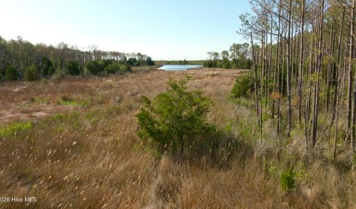 Photo #9 of 3277 Hodges, Scranton, NC 200.0 acres