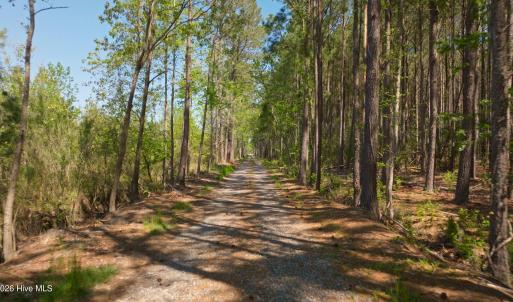 Photo #8 of 3277 Hodges, Scranton, NC 200.0 acres