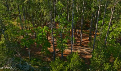 Photo #24 of 3277 Hodges, Scranton, NC 200.0 acres
