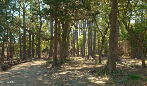 Photo #39 of 3277 Hodges, Scranton, NC 200.0 acres