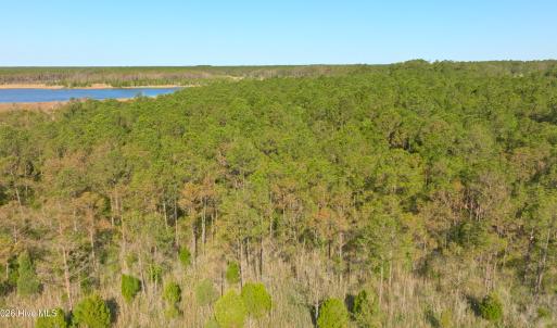 Photo #21 of 3277 Hodges, Scranton, NC 200.0 acres
