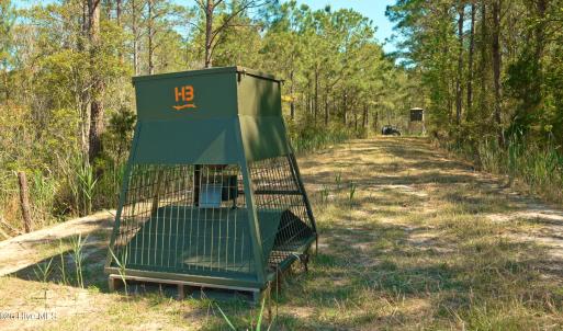 Photo #4 of 3277 Hodges, Scranton, NC 200.0 acres
