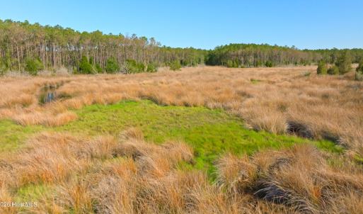 Photo #29 of 3277 Hodges, Scranton, NC 200.0 acres