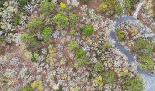 Photo #21 of 584 Asphodel, Supply, NC 0.7 acres