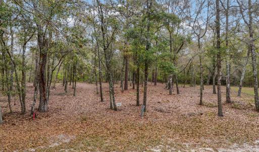 Photo #1 of 584 Asphodel, Supply, NC 0.7 acres