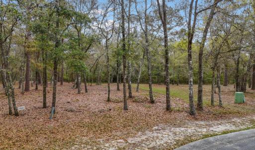 Photo #2 of 584 Asphodel, Supply, NC 0.7 acres