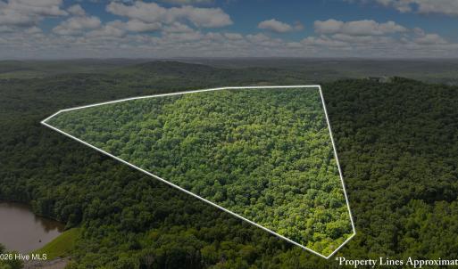 Photo #9 of Fawn, Asheboro, NC 43.2 acres