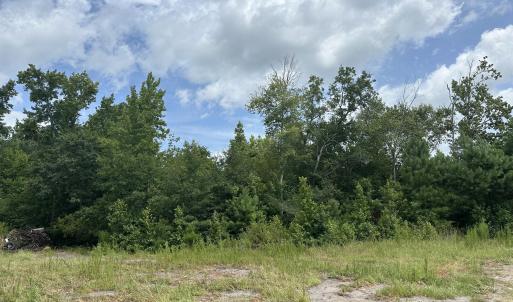 Photo #1 of Near 99 Andrews Lake, Tabor City, NC 33.0 acres