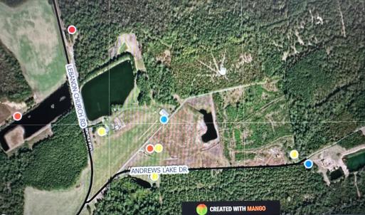 Photo #4 of Near 99 Andrews Lake, Tabor City, NC 33.0 acres