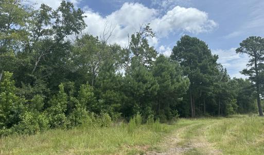 Photo #3 of Near 99 Andrews Lake, Tabor City, NC 33.0 acres