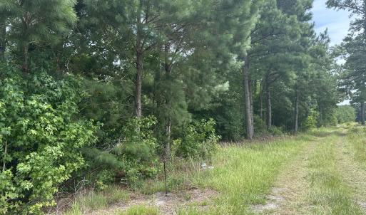 Photo #2 of Near 99 Andrews Lake, Tabor City, NC 33.0 acres