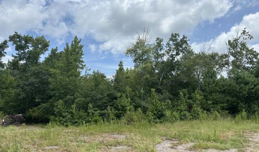 Photo #1 of Near 99 Andrews Lake, Tabor City, NC 33.0 acres