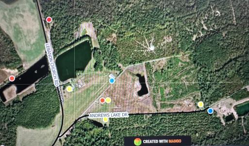 Photo #4 of Near 99 Andrews Lake, Tabor City, NC 33.0 acres