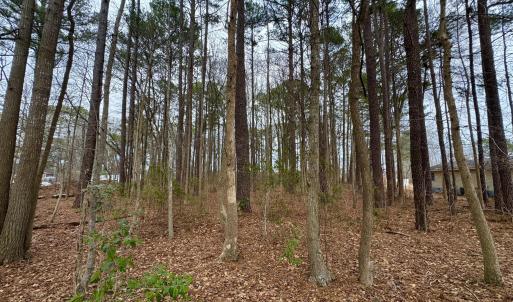 Photo #4 of Lincoln, Kenly, NC 1.7 acres