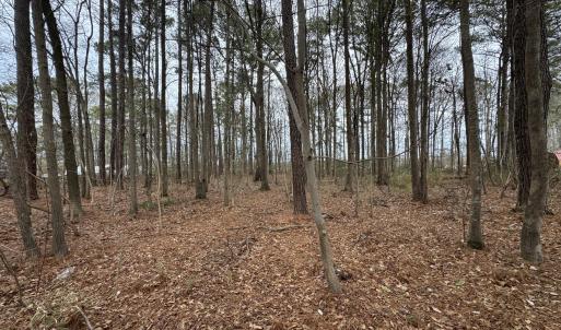 Photo #6 of Lincoln, Kenly, NC 1.7 acres
