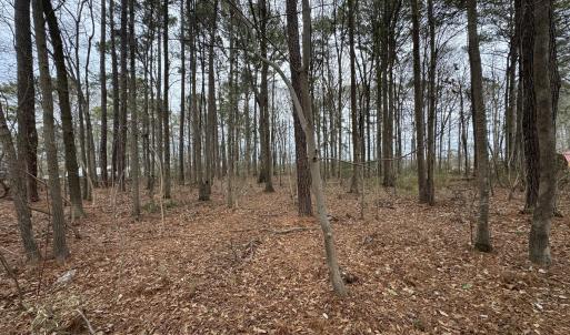 Photo #6 of Lincoln, Kenly, NC 1.7 acres