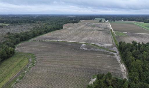 Photo #2 of Huckleberry, Lucama, NC 182.0 acres