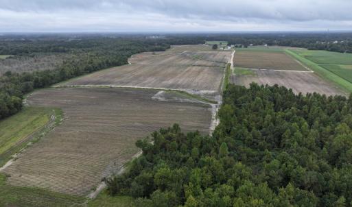 Photo #3 of Huckleberry, Lucama, NC 182.0 acres