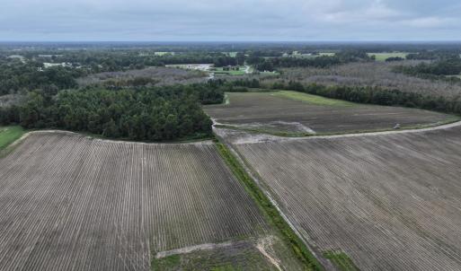 Photo #11 of Huckleberry, Lucama, NC 182.0 acres
