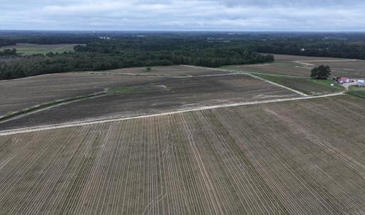 Photo #10 of Huckleberry, Lucama, NC 182.0 acres