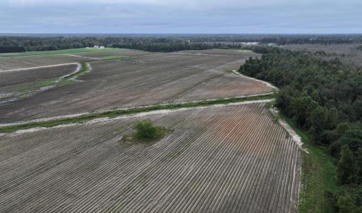 Photo #4 of Huckleberry, Lucama, NC 182.0 acres