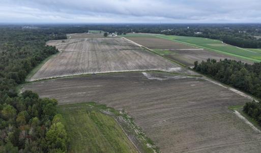 Photo #12 of Huckleberry, Lucama, NC 182.0 acres