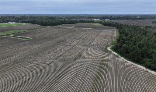 Photo #8 of Huckleberry, Lucama, NC 182.0 acres
