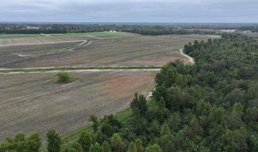 Photo #7 of Huckleberry, Lucama, NC 182.0 acres