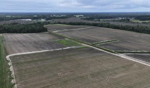 Photo #9 of Huckleberry, Lucama, NC 182.0 acres