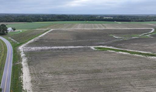 Photo #5 of Huckleberry, Lucama, NC 182.0 acres