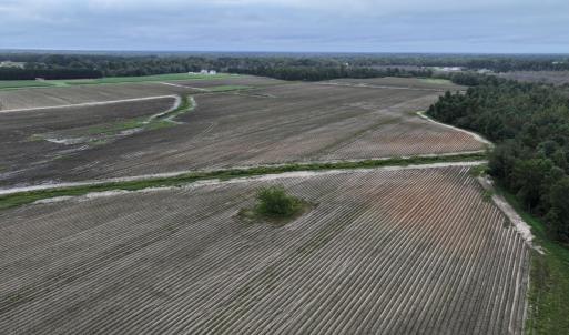 Photo #6 of Huckleberry, Lucama, NC 182.0 acres