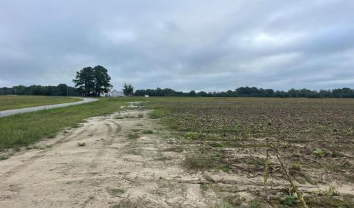 Photo #17 of Huckleberry, Lucama, NC 182.0 acres