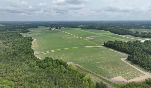 Photo #8 of Huckleberry, Lucama, NC 182.0 acres