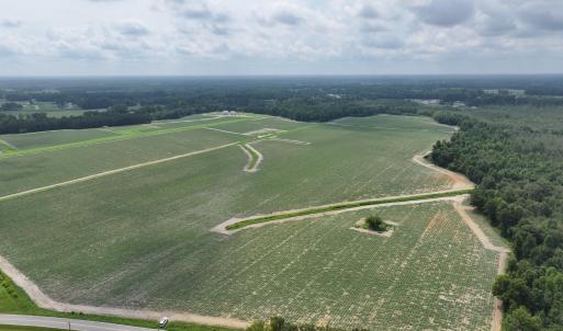 Photo #5 of Huckleberry, Lucama, NC 182.0 acres