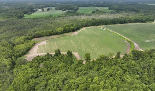 Photo #3 of Huckleberry, Lucama, NC 182.0 acres