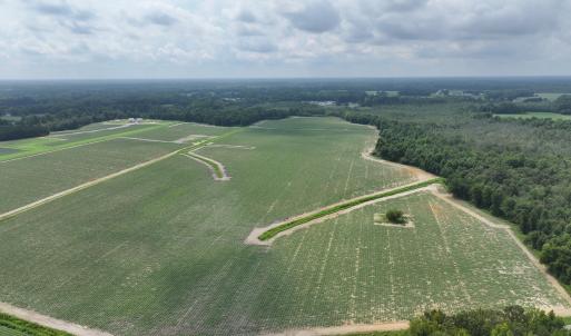 Photo #2 of Huckleberry, Lucama, NC 182.0 acres