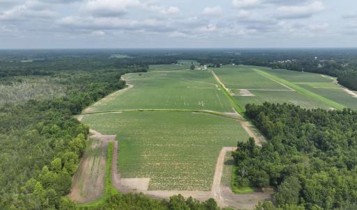 Photo #9 of Huckleberry, Lucama, NC 182.0 acres